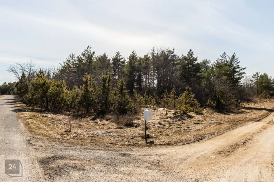 Maatulundusmaa, 6000 m² участок в Harku vald, Adra küla - фото 4