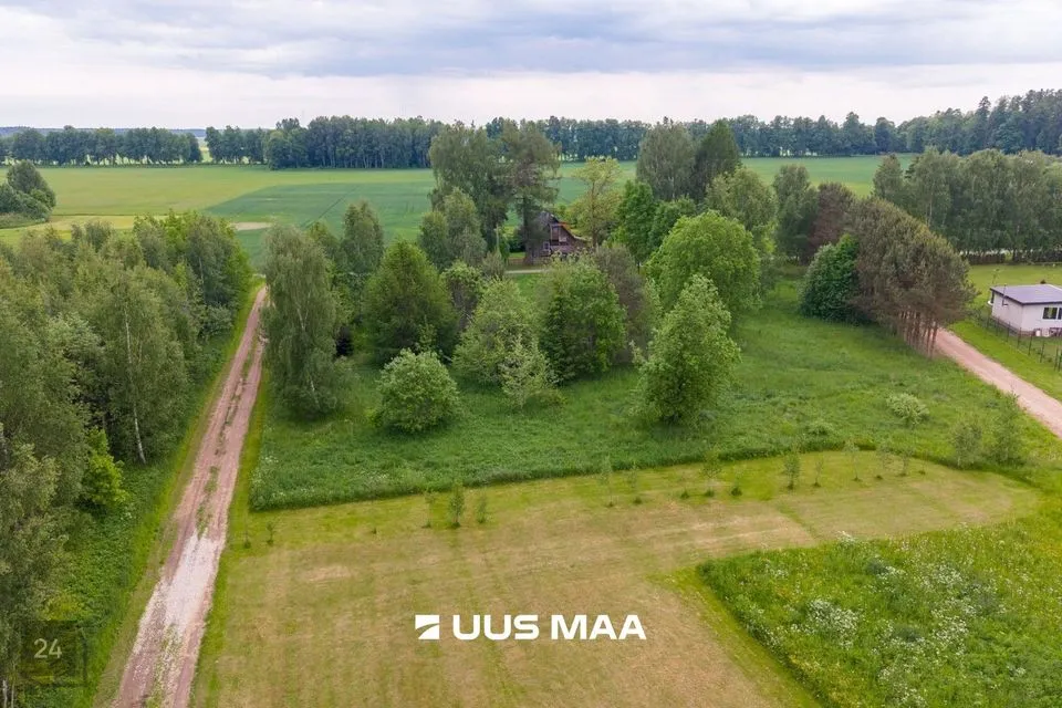 Maatulundusmaa, 4850 m² Maa  -  Peipsiääre vald, Pilpaküla - foto 4