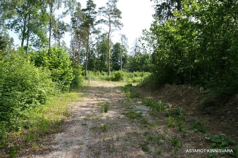 Elamumaa, 4002 m² Maa  -  Raasiku vald, Kalesi küla - foto 5