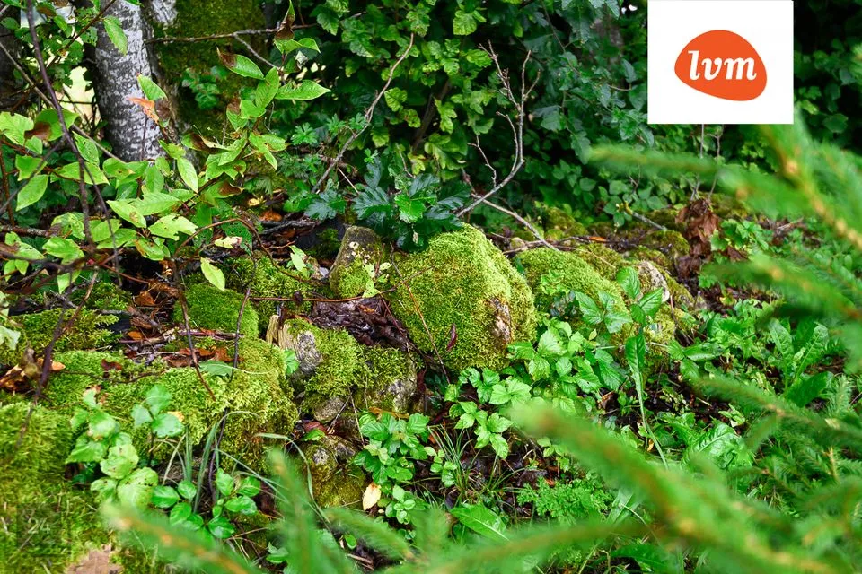 188 m² Maja  -  Saaremaa vald, Jööri - foto 5