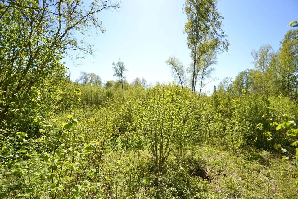 Maatulundusmaa, 20000 m² участок в Saaremaa vald, Laadjala küla - фото 2