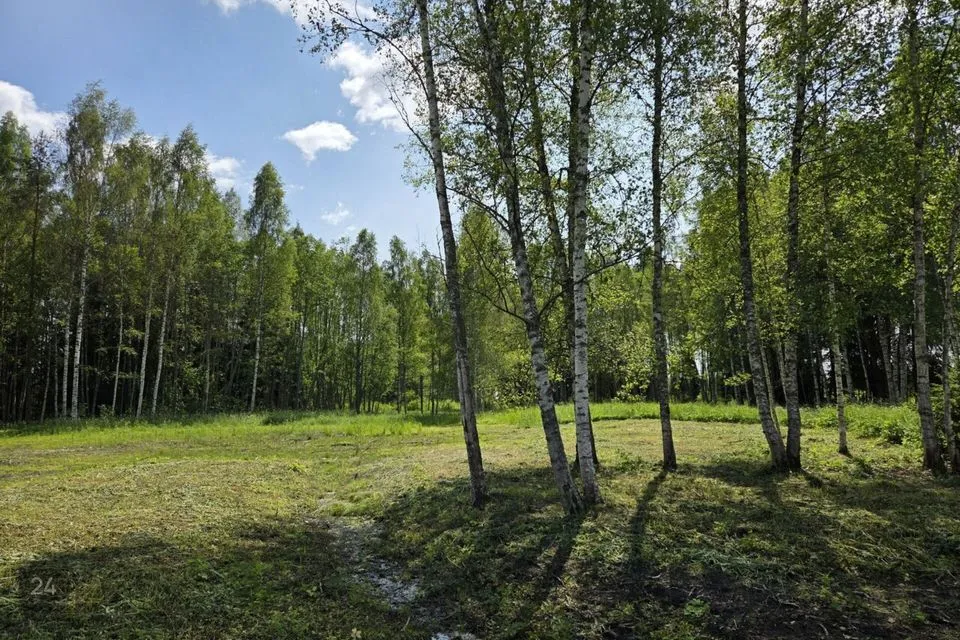 Elamumaa, 15600 m² Maa - Rõuge vald, Nursi küla - foto 4