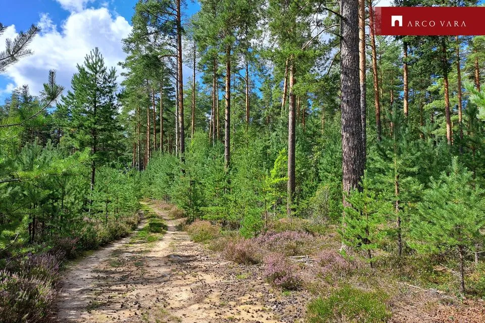 Maatulundusmaa, 34600 m² участок в Setomaa vald, Väike-Rõsna küla - фото 4