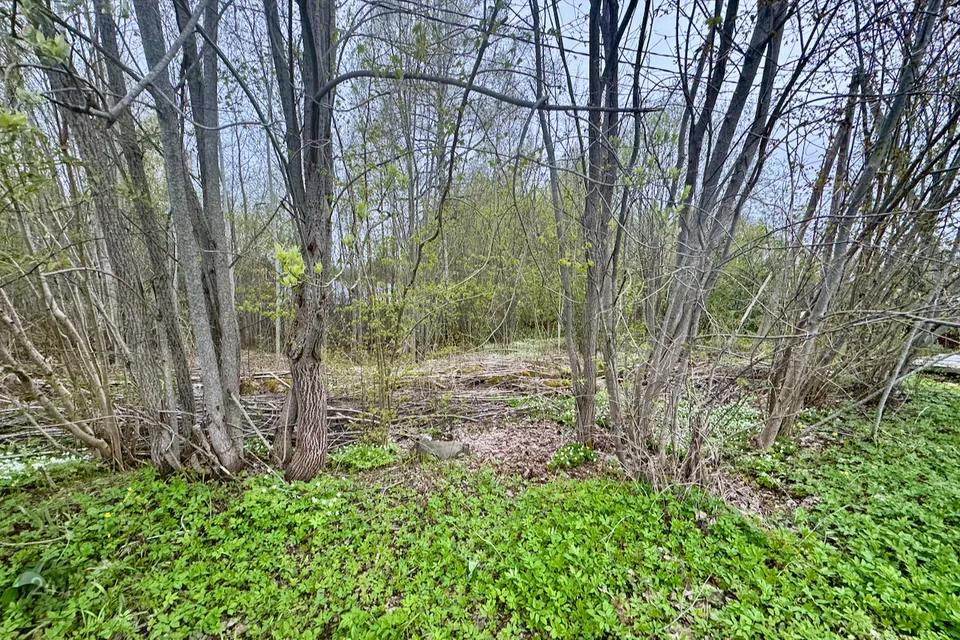 Земля жилой застройки, 1499 m² участок в Haapsalu linn, Tanska küla - фото 3