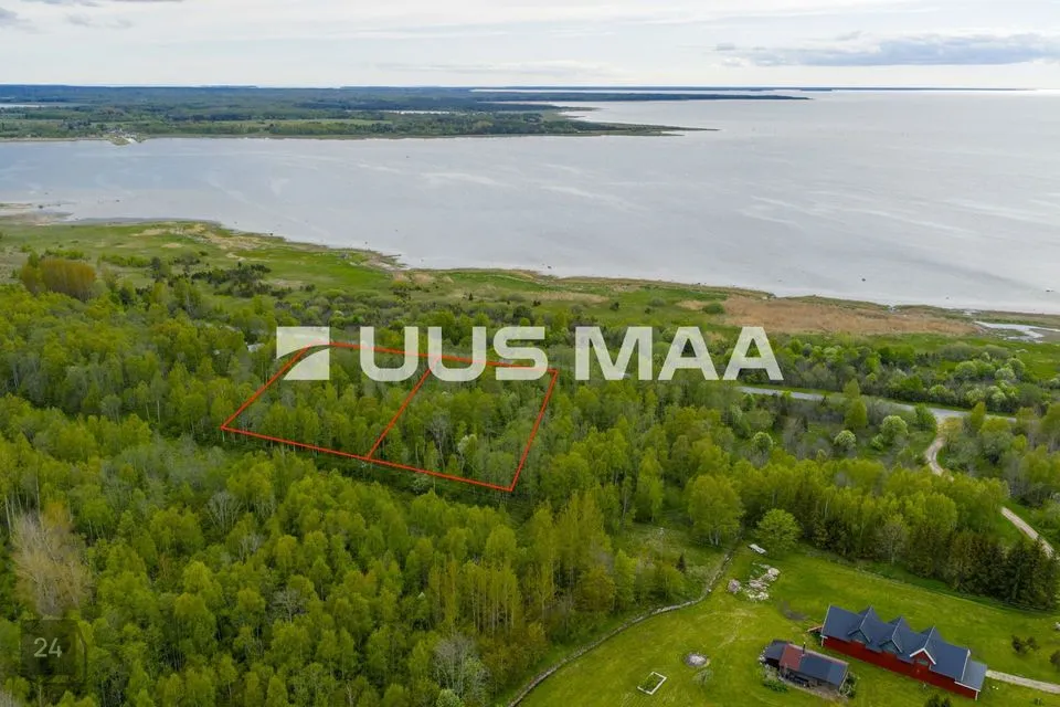 Maatulundusmaa, 10000 m² участок в Lääne-Nigula vald, Riguldi küla / Rickul