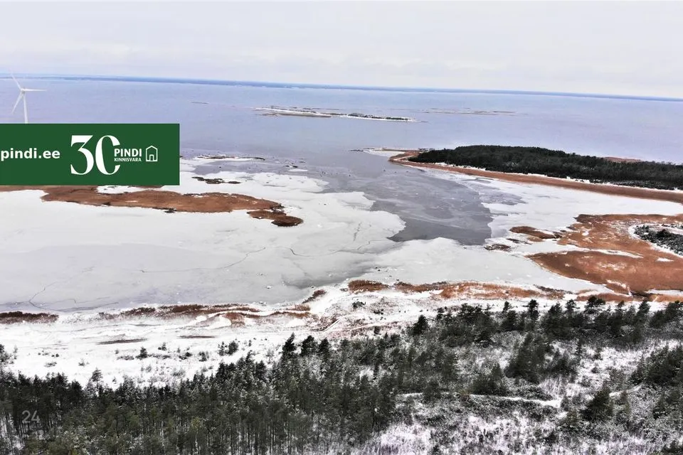 Maatulundusmaa, 98800 m² Maa  -  Lääneranna vald, Esivere küla - foto 3