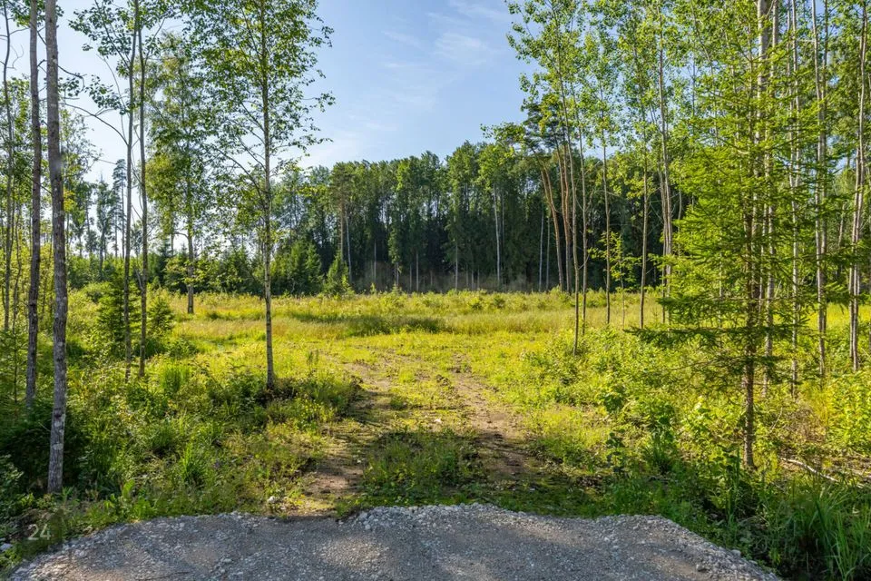 Elamumaa, 9269 m² Maa  -  Kose vald, Tuhala küla