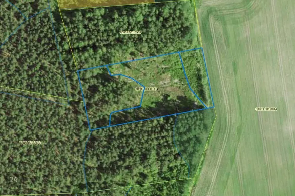 Maatulundusmaa, 8303 m² Maa - Tori vald, Võlli küla