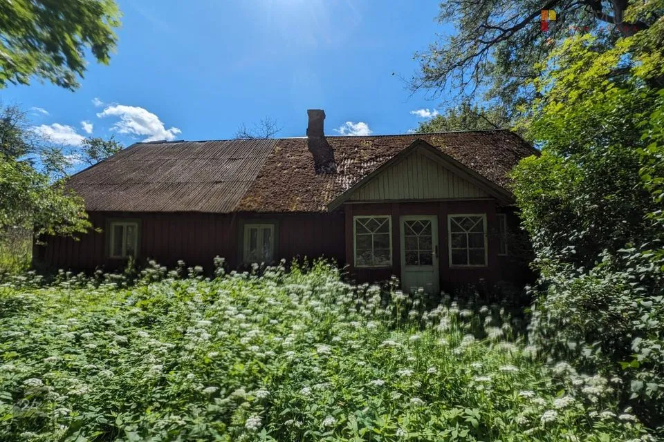 100000 m² Maa  -  Valga vald, Hargla küla - foto 5