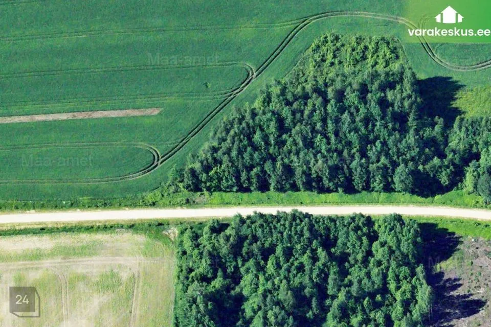 Maatulundusmaa, 16331 m² Maa  -  Räpina vald, Pahtpää küla - foto 3
