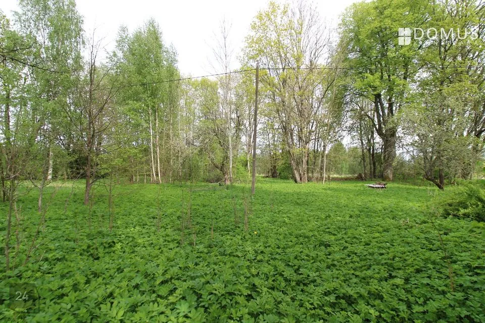 Maatulundusmaa, 20537 m² участок в Viljandi vald, Suislepa küla - фото 2
