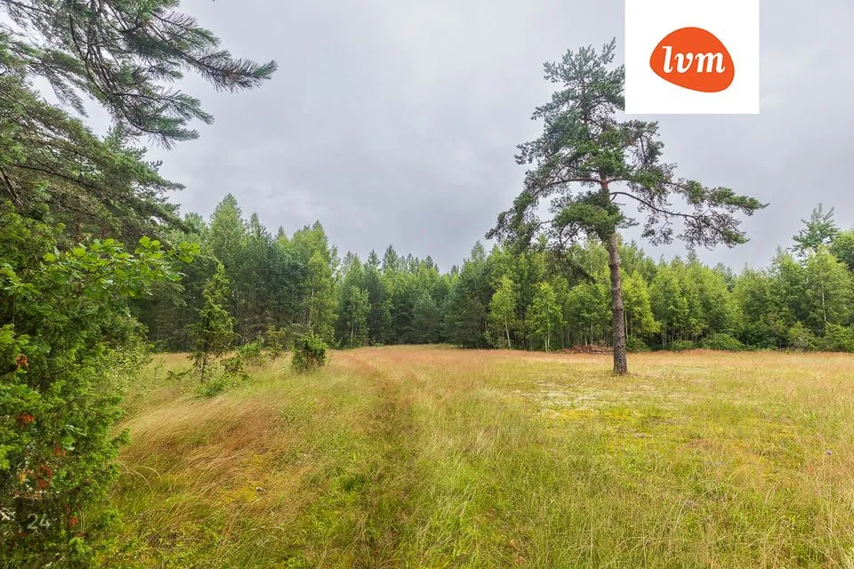 Maatulundusmaa, 69550 m² Maa  -  Alutaguse vald, Kuru küla - foto 5