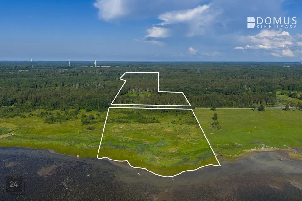 Maatulundusmaa, 110000 m² участок в Lääne-Nigula vald, Riguldi küla / Rickul