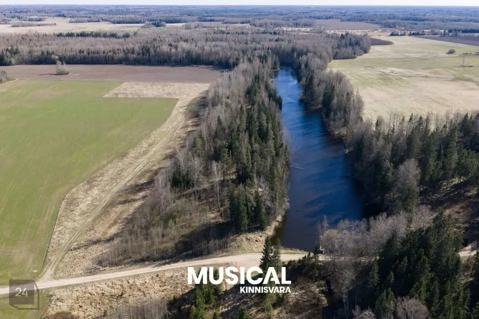 6131 m² Maa - Mulgi vald, Veelikse küla