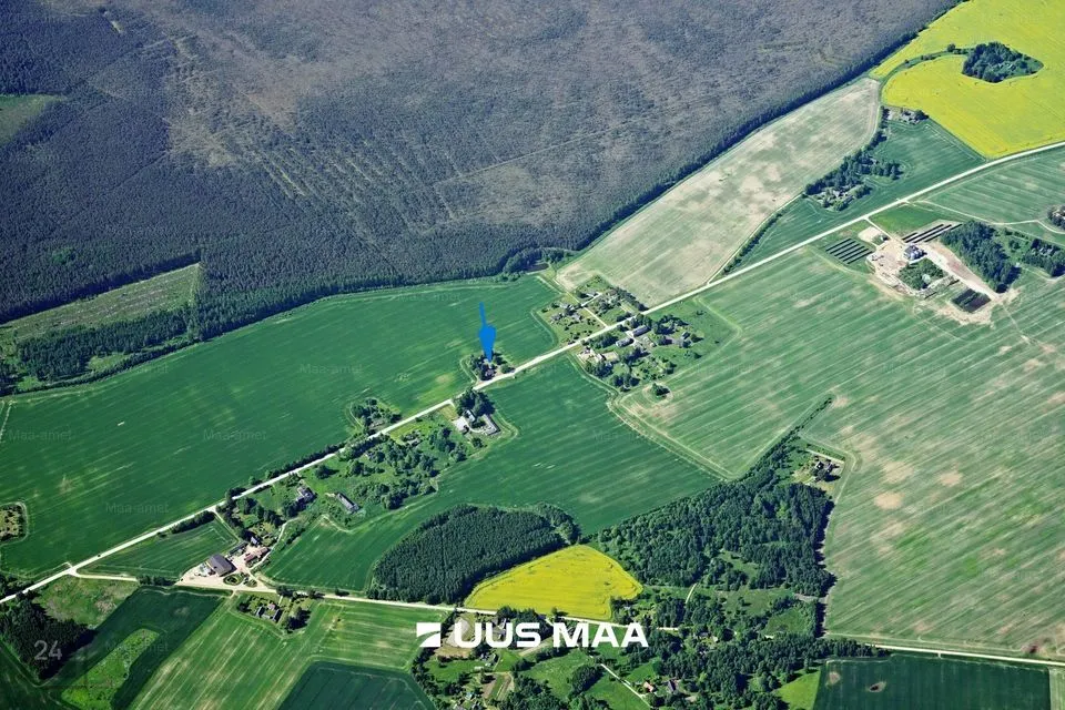 Elamumaa, 4211 m² Maa  -  Räpina vald, Aravu küla - foto 3