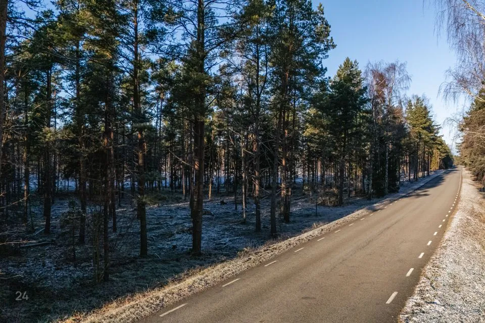 Maatulundusmaa, 12572 m² Maa  -  Muhu vald, Rinsi küla - foto 2