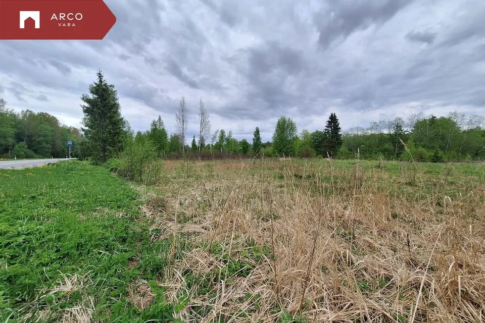 Maatulundusmaa, 31565 m² Maa - Kuusalu vald, Loksa küla