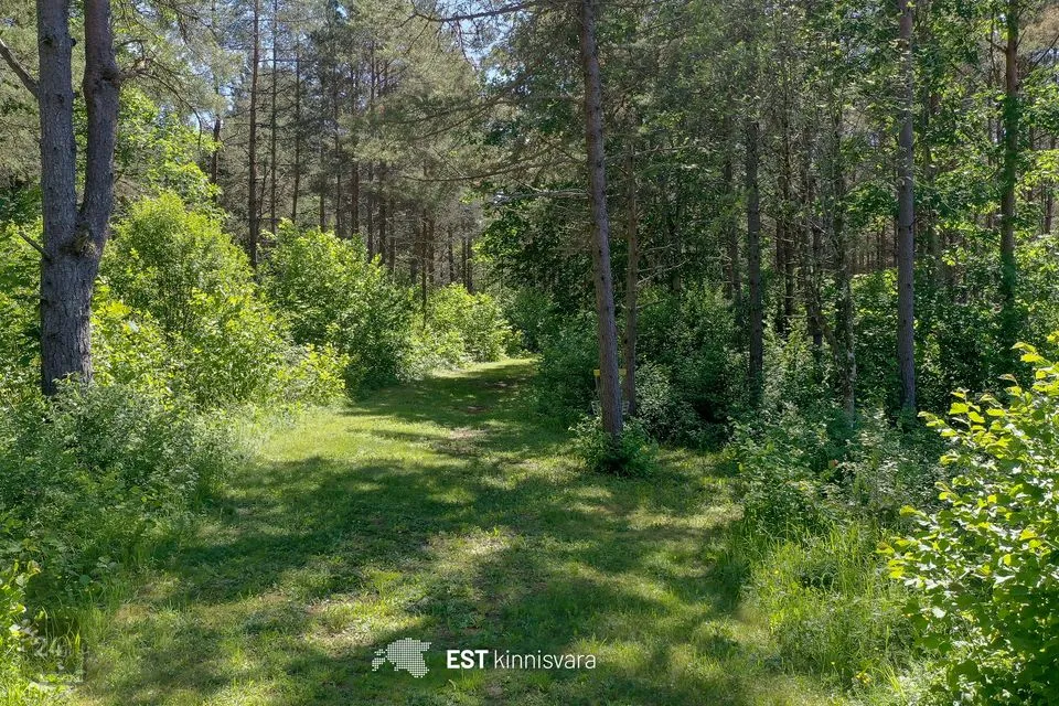 Maatulundusmaa, 66131 m² участок в Saaremaa vald, Valjala alevik - фото 5