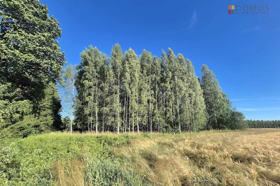 Земля жилой застройки, 15386 m² участок в Põhja-Sakala vald, Lahmuse küla - фото 4