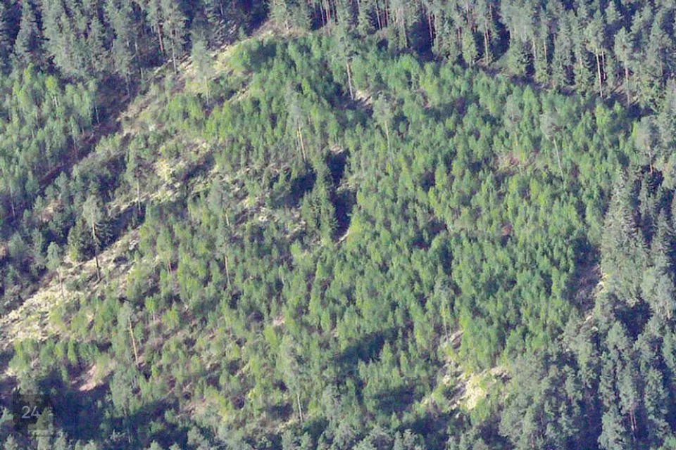 Maatulundusmaa, 94885 m² Maa  -  Setomaa vald, Nedsaja küla - foto 4