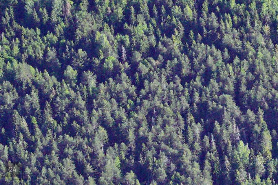 Maatulundusmaa, 100712 m² Maa  -  Rapla vald, Hagudi küla - foto 2