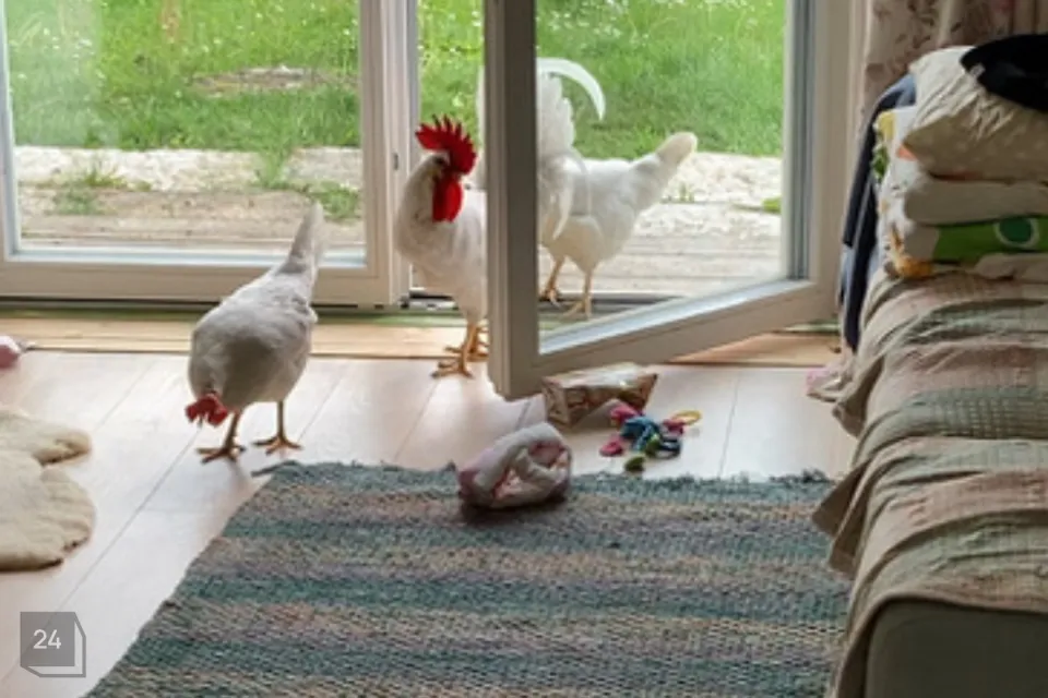 4-toaline Maja  -  Anija vald, Aegviidu alev