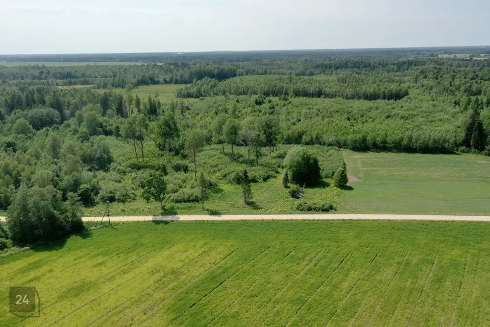 Maatulundusmaa, 20000 m² Maa - Väike-Maarja vald, Liivaküla - foto 2