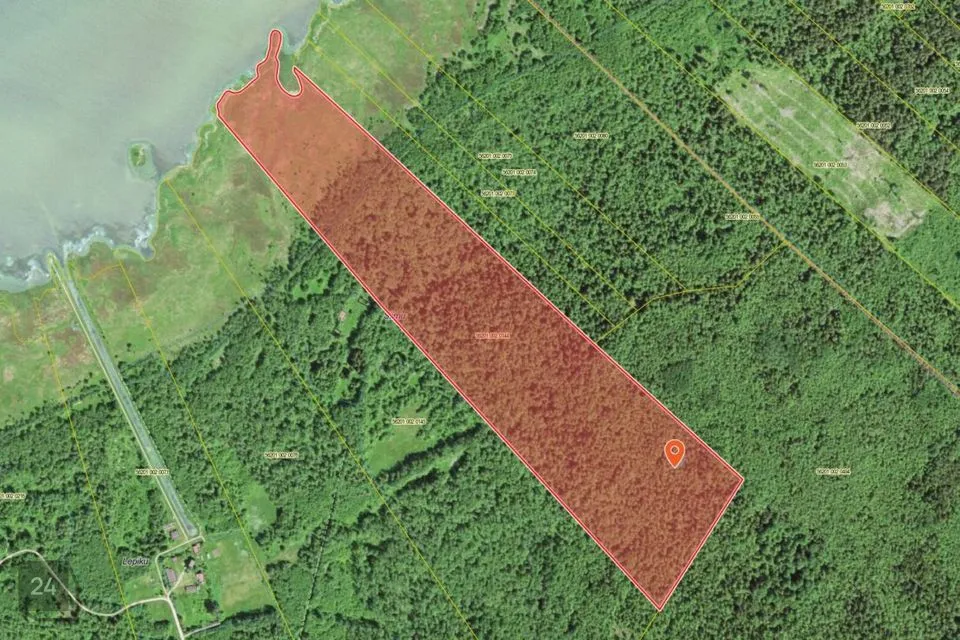 Maatulundusmaa, 162900 m² участок в Lääne-Harju vald, Pedase küla