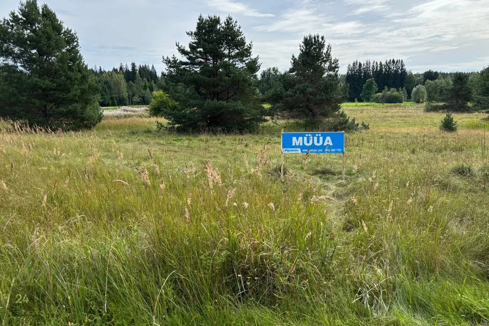 Maatulundusmaa, 6951 m² Maa  -  Türi vald, Kolu küla - foto 5