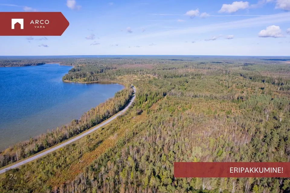 Ärimaa, 282200 m² Maa  -  Saaremaa vald, Nõmpa küla - foto 4