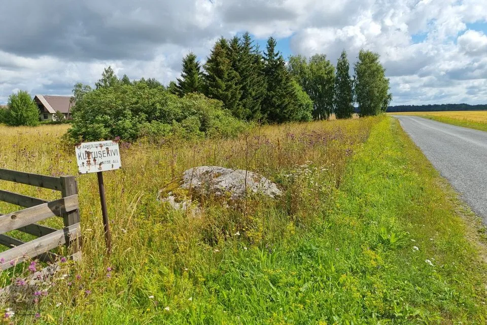 Elamumaa, 2781 m² Maa - Rakvere vald, Levala küla - foto 2