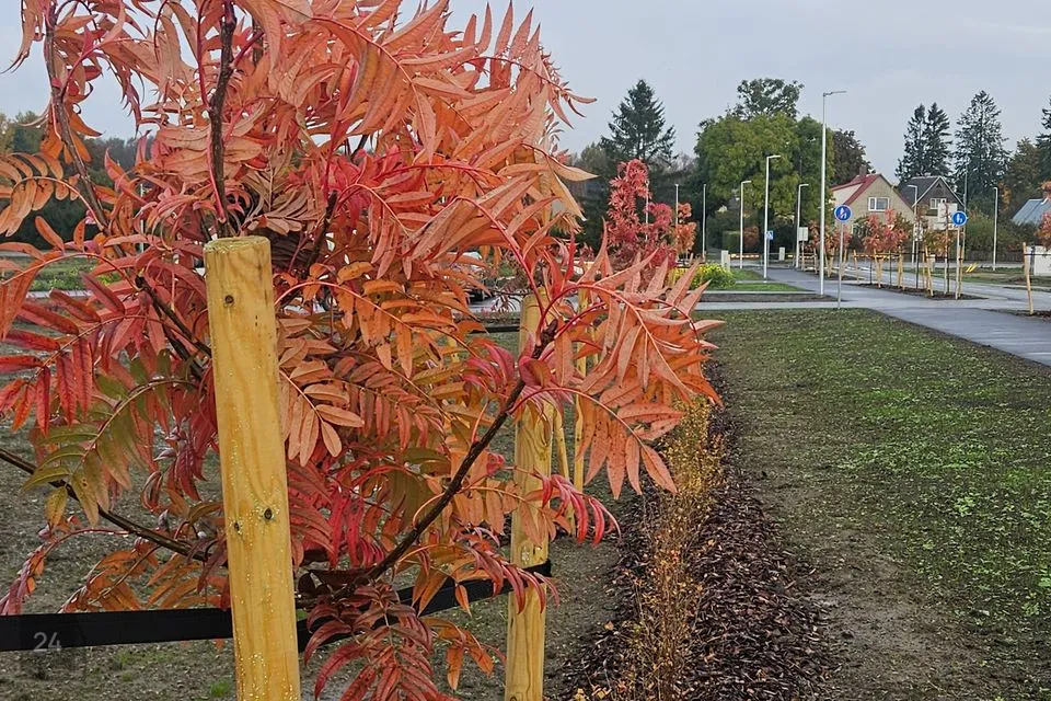 Elamumaa, 2000 m² Maa  -  Rae vald, Assaku alevik