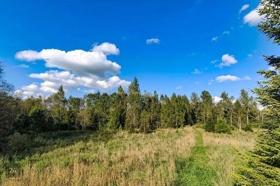 Maatulundusmaa, 58809 m² Maa  -  Otepää vald, Sihva küla - foto 4