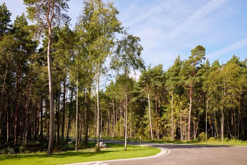 Elamumaa, 3349 m² Maa  -  Viimsi vald, Pringi küla - foto 4