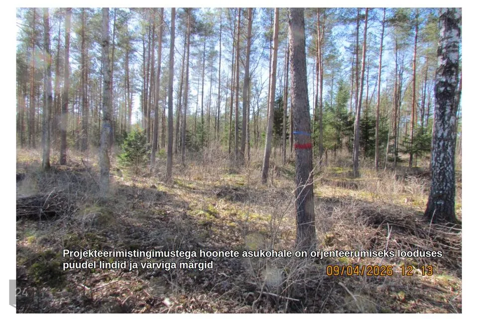 Maatulundusmaa, 11563 m² Maa  -  Kohila vald, Aandu küla - foto 4