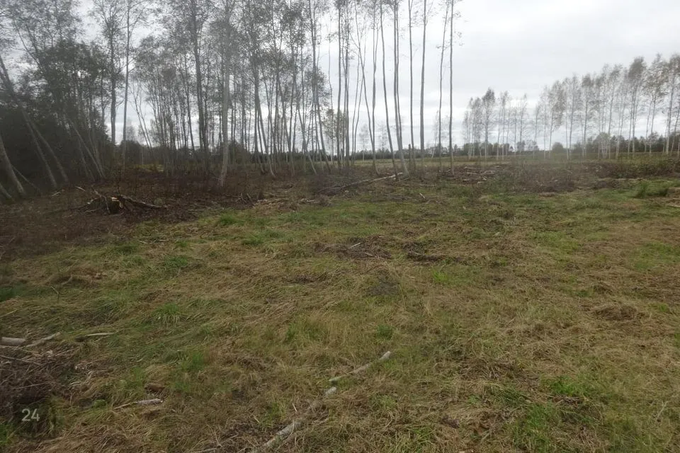 Maatulundusmaa, 131200 m² Maa - Häädemeeste vald, Reiu küla - foto 4