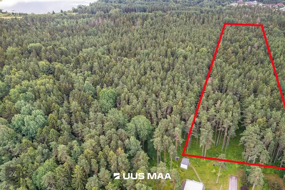 Cultivated land or Transport land, 6867 m² land in Harku vald, Harkujärve küla - photo 2