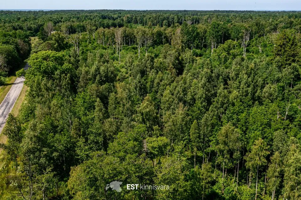 Maatulundusmaa, 10012 m² участок в Lääneranna vald, Rädi küla - фото 2