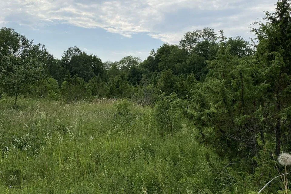 Maatulundusmaa, 10071 m² Maa  -  Haapsalu linn, Laheva küla - foto 2