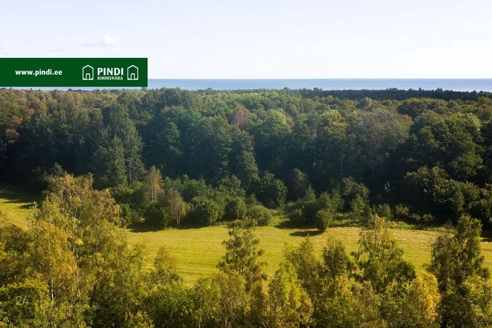 Maatulundusmaa, 473000 m² участок в Saaremaa vald, Kaimri küla - фото 5
