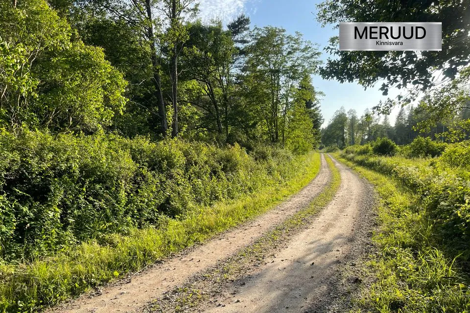 Maatulundusmaa, 26555 m² Maa - Saaremaa vald, Mõntu küla