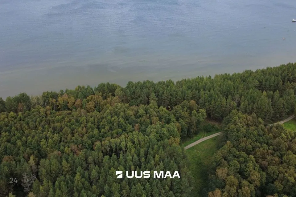 Maatulundusmaa, 69113 m² Maa  -  Viru-Nigula vald, Letipea küla - foto 3