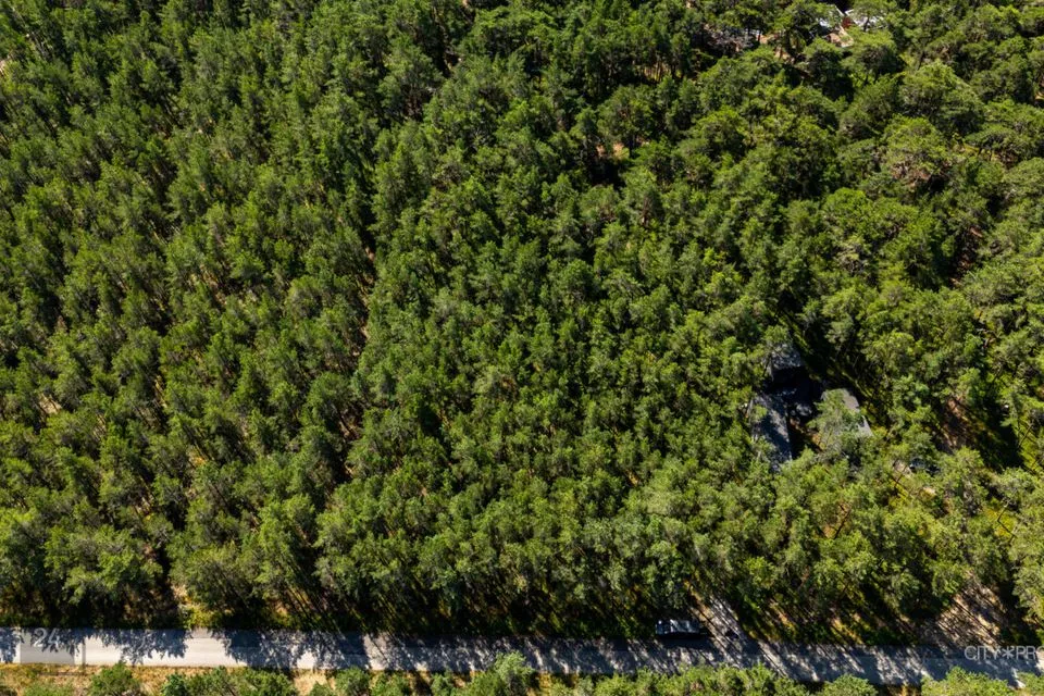 Residential land, 7254 m² land in Lääne-Harju vald, Laulasmaa küla - photo 4