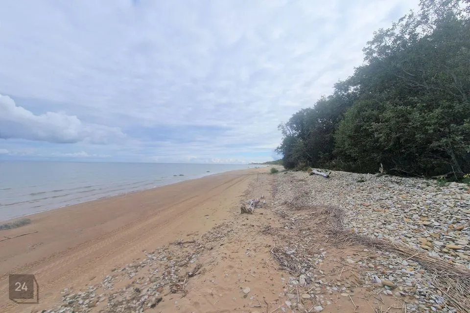 Elamumaa, 5656 m² Maa  -  Lüganuse vald, Liimala küla - foto 4