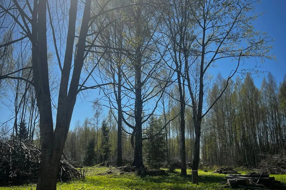Elamumaa, 17877 m² Maa - Räpina vald, Meeksi küla - foto 3
