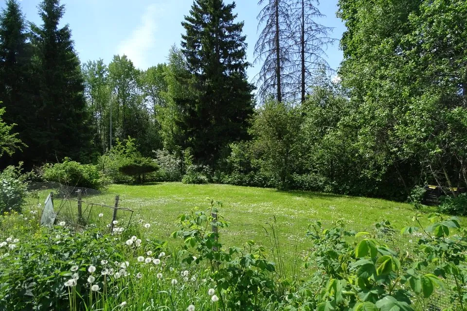 Maatulundusmaa, 7418 m² Maa  -  Saku vald, Kasemetsa küla - foto 3