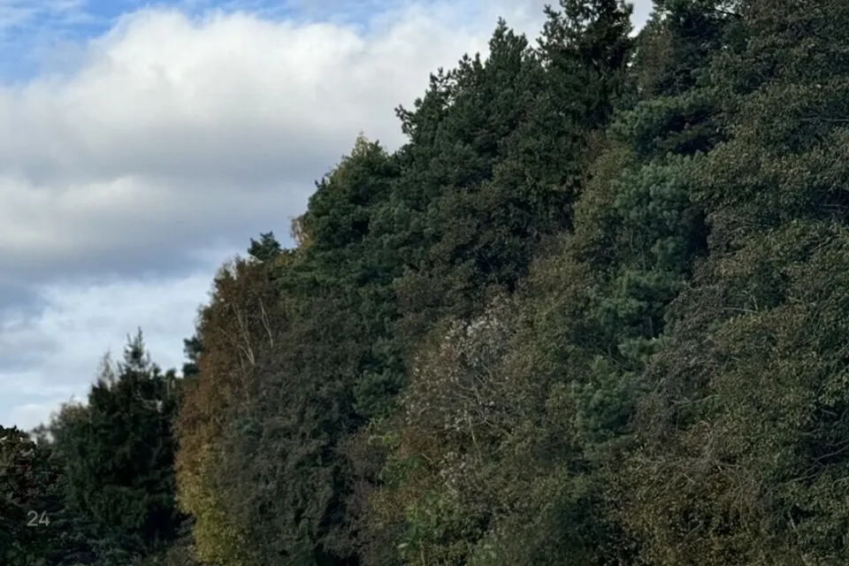 Maatulundusmaa, 7004 m² Maa  -  Lääne-Nigula vald, Tuksi küla / Bergsby - foto 3