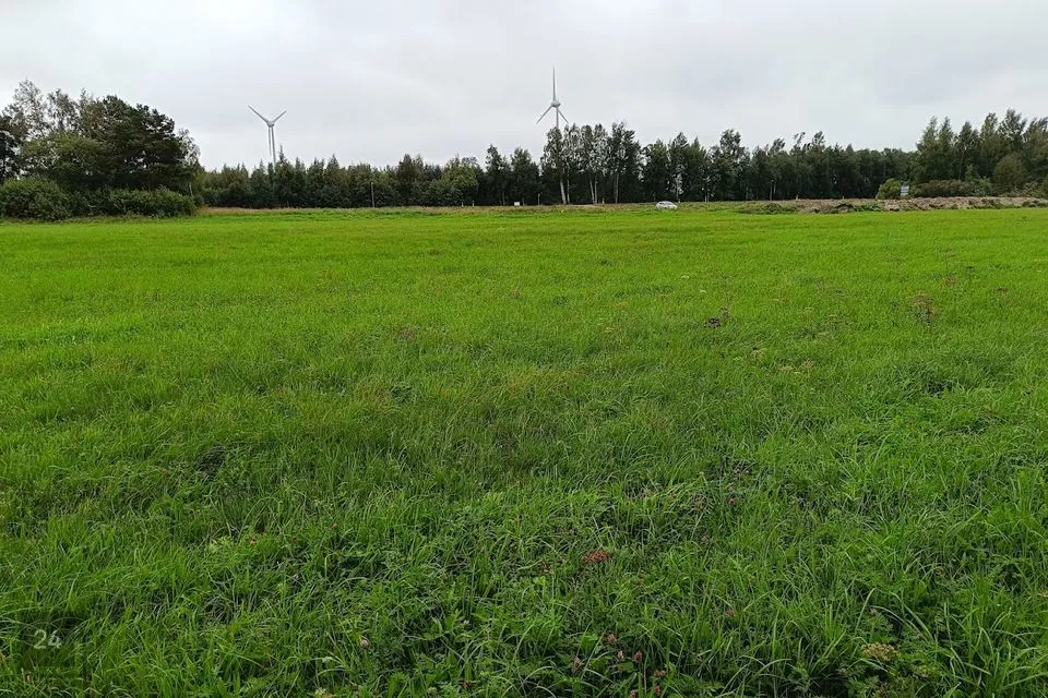 Maatulundusmaa, 5612 m² Maa  -  Saaremaa vald, Nasva alevik - foto 2