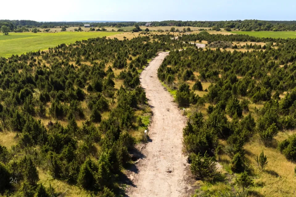 Земля жилой застройки, 5236 m² участок в Saaremaa vald, Suure-Rootsi küla - фото 4
