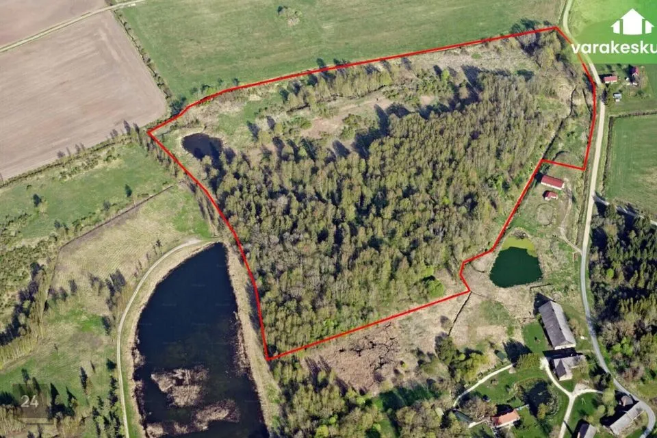 Maatulundusmaa, 122376 m² Maa - Jõgeva vald, Torma alevik